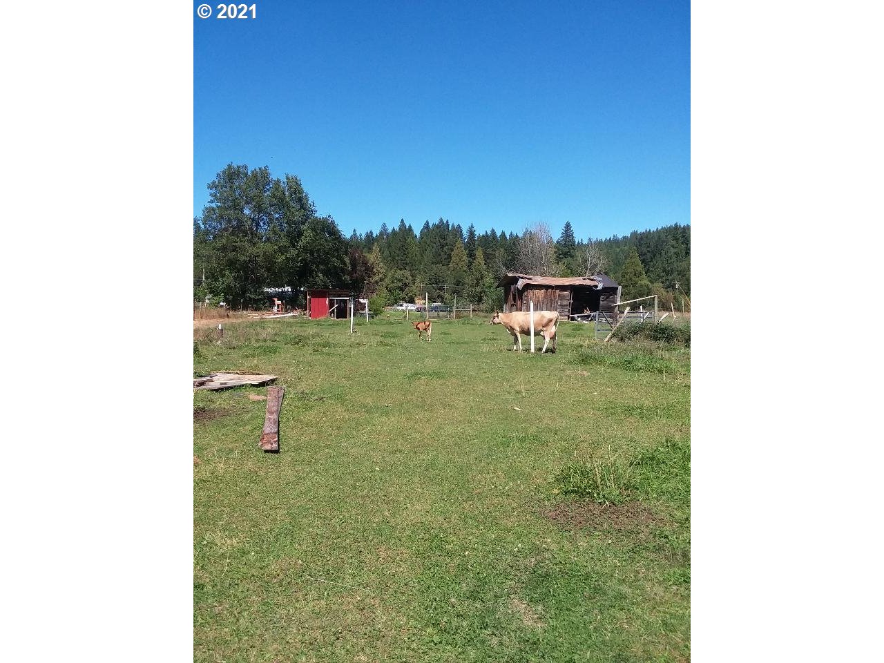 911 Deer Creek Road Selma, OR 97538 - Photo 4 of 19 Gallery Image 4
