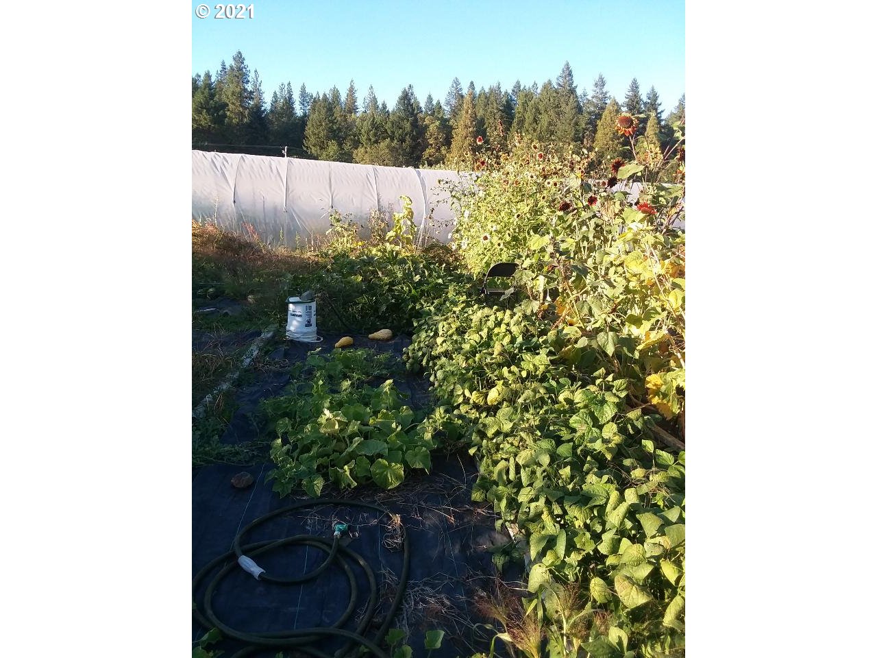 911 Deer Creek Road Selma, OR 97538 - Photo 6 of 19 Gallery Image 6
