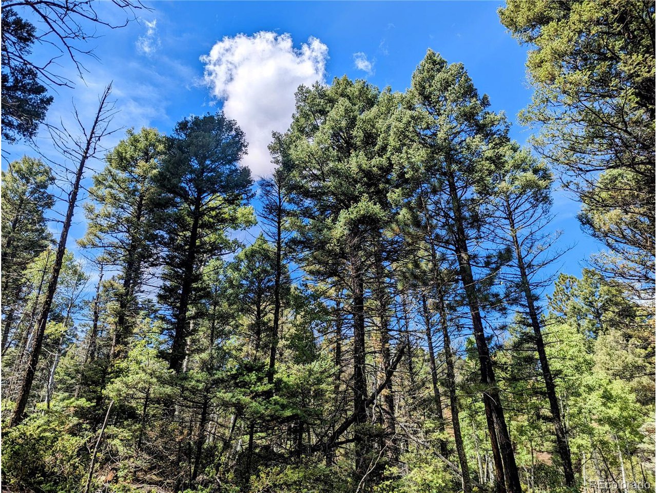 6162 Batton Road San Luis, CO 81152 - Photo 1 of 23