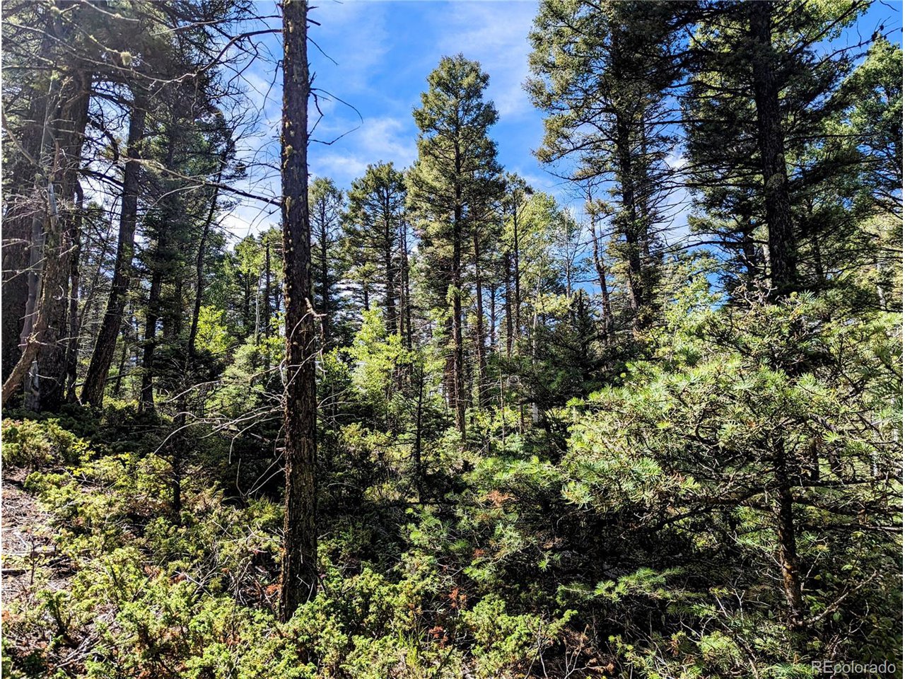 6162 Batton Road San Luis, CO 81152 - Photo 11 of 23