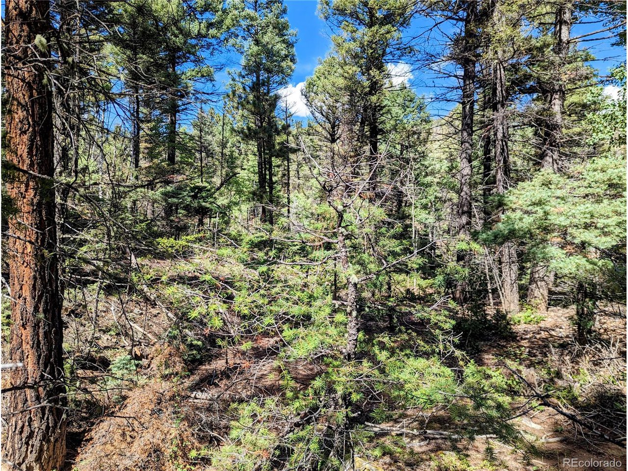 6162 Batton Road San Luis, CO 81152 - Photo 12 of 23