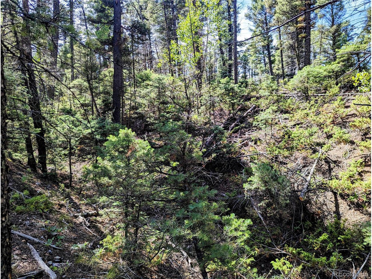 6162 Batton Road San Luis, CO 81152 - Photo 13 of 23