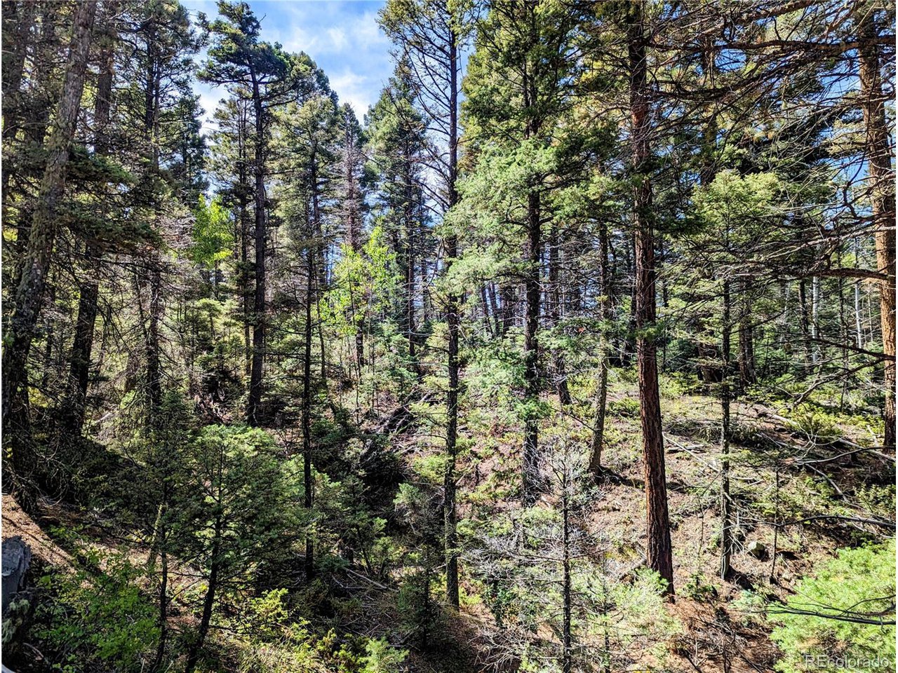 6162 Batton Road San Luis, CO 81152 - Photo 14 of 23