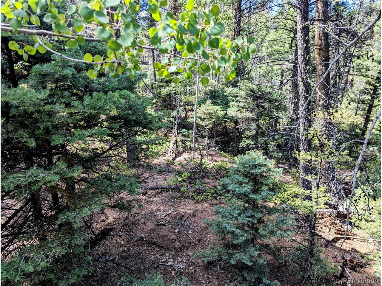 6162 Batton Road San Luis, CO 81152 - Photo 15 of 23