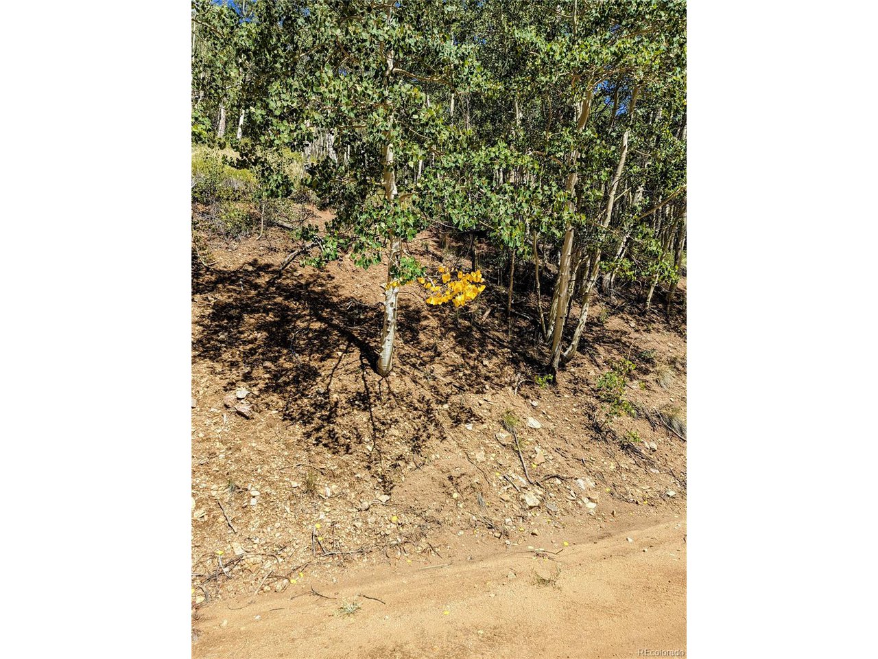 6162 Batton Road San Luis, CO 81152 - Photo 16 of 23