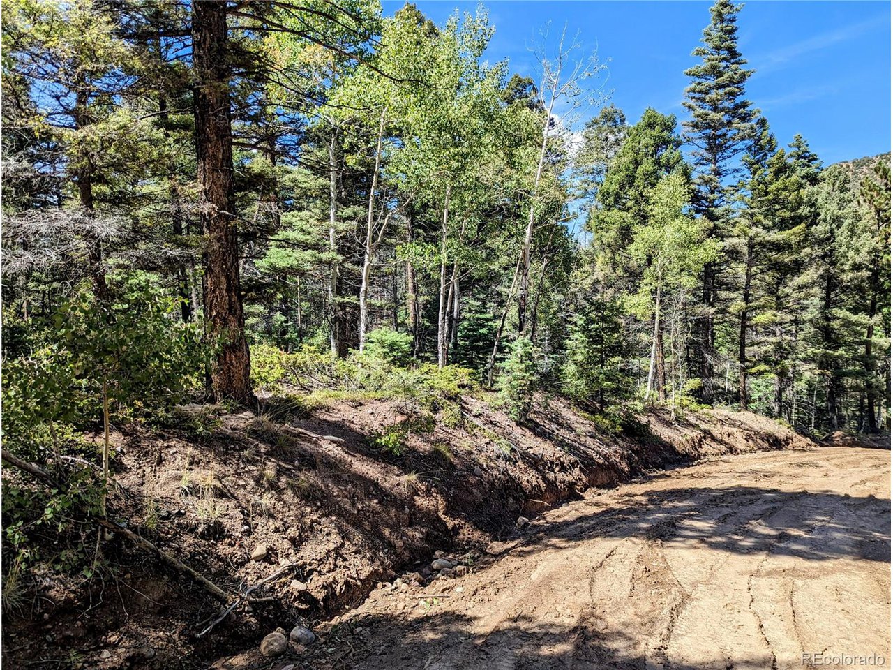 6162 Batton Road San Luis, CO 81152 - Photo 17 of 23