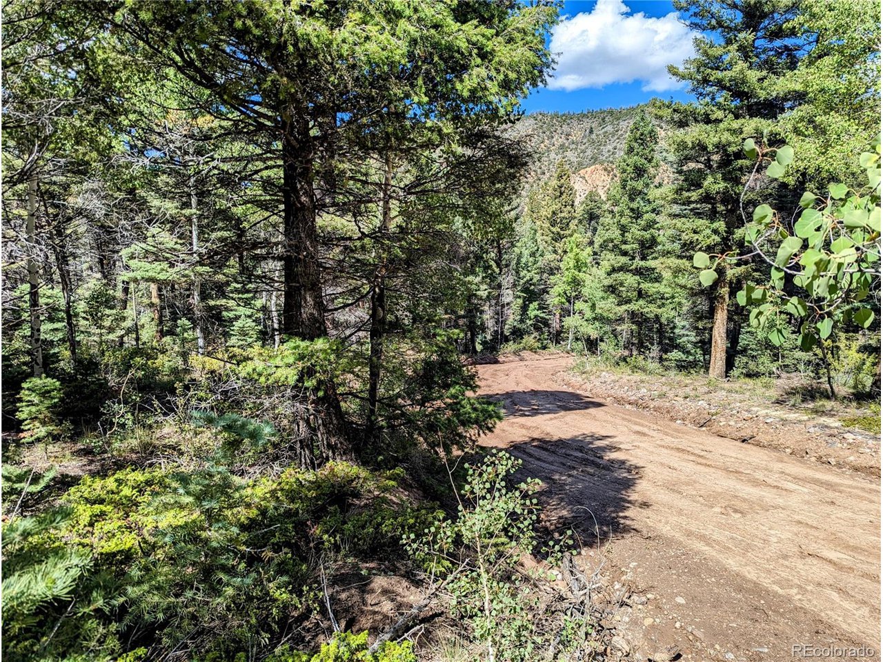 6162 Batton Road San Luis, CO 81152 - Photo 18 of 23