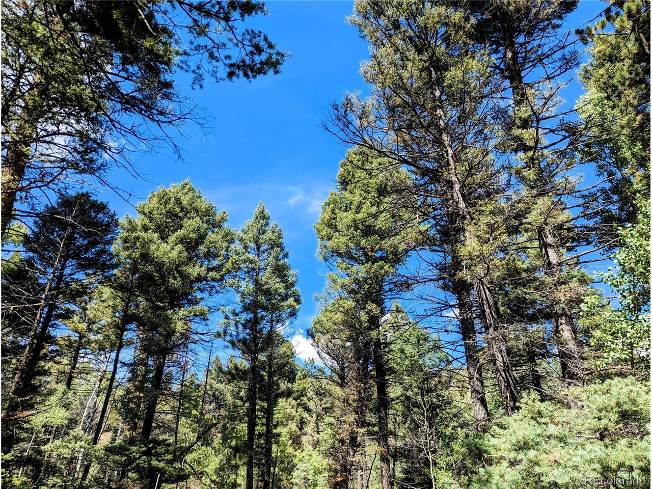 6162 Batton Road San Luis, CO 81152 - Photo 2 of 23