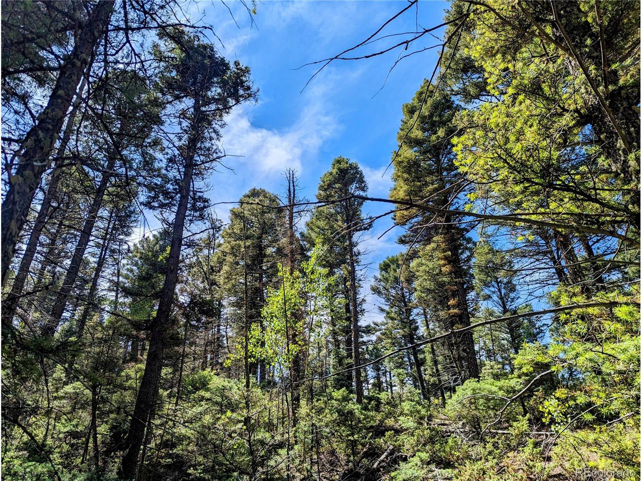 6162 Batton Road San Luis, CO 81152 - Photo 3 of 23