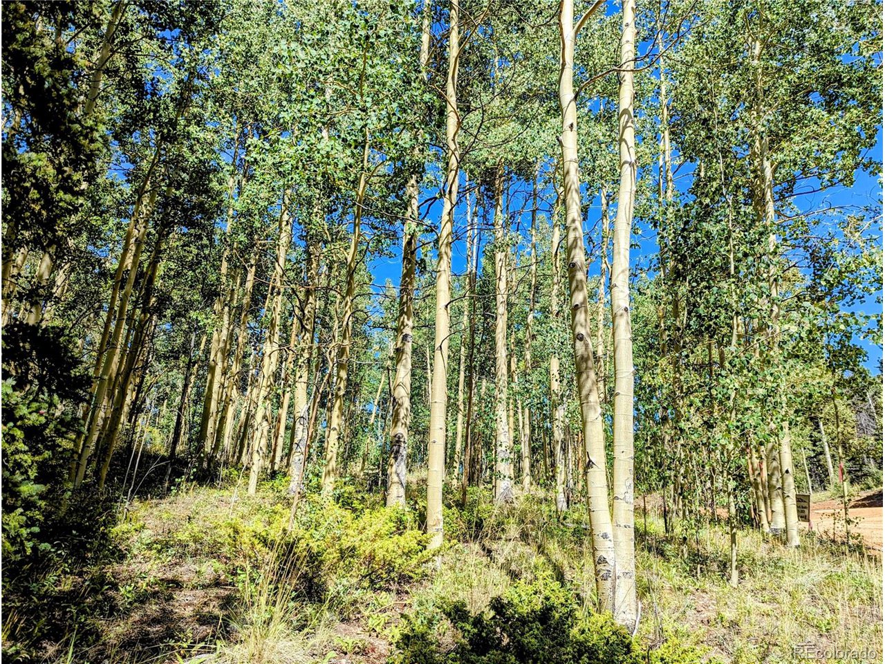 6162 Batton Road San Luis, CO 81152 - Photo 4 of 23