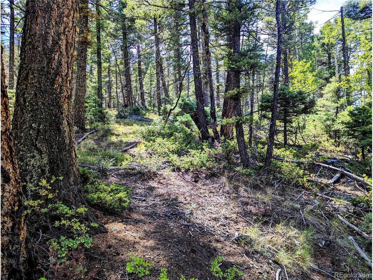 6162 Batton Road San Luis, CO 81152 - Photo 5 of 23