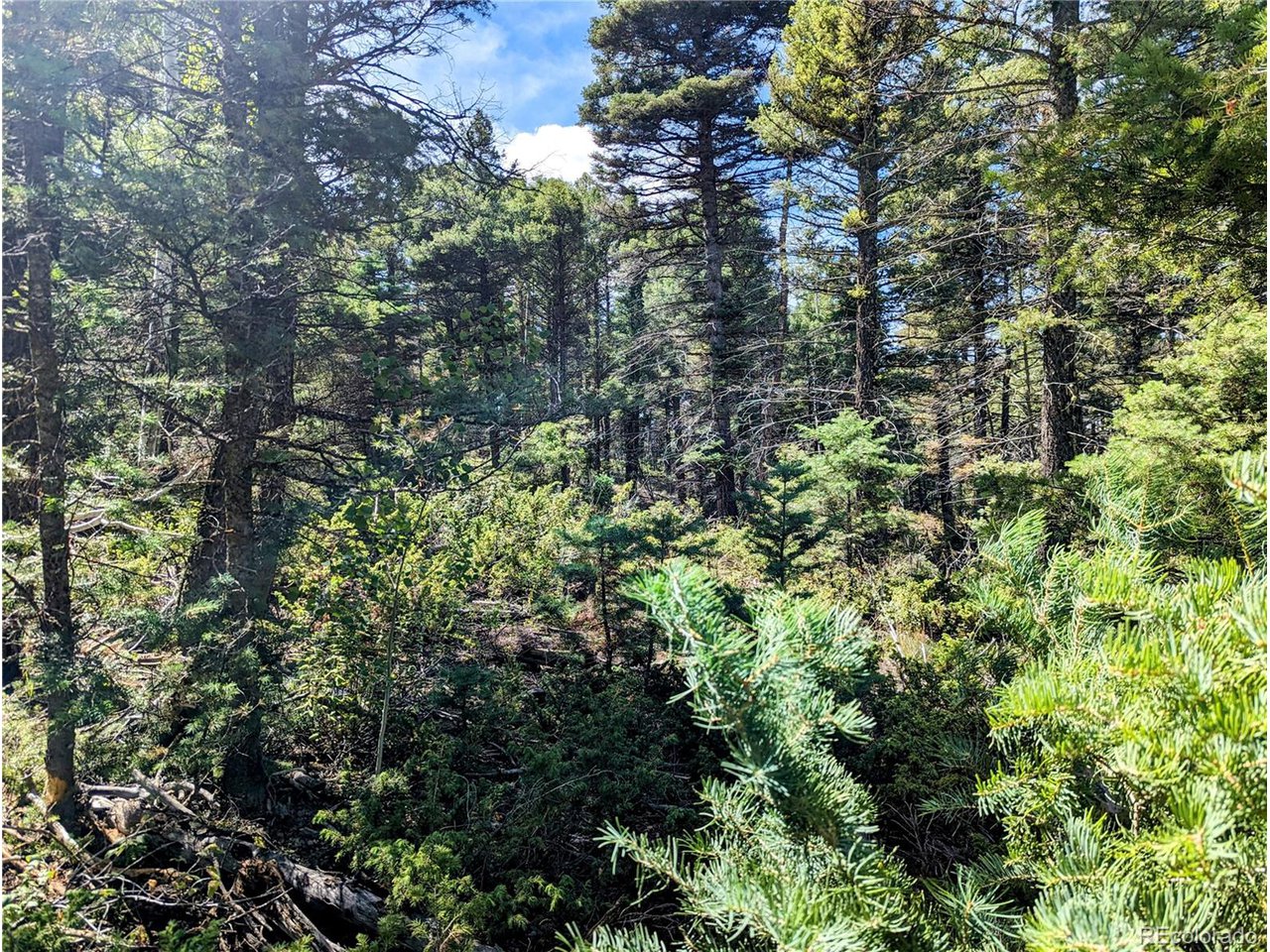 6162 Batton Road San Luis, CO 81152 - Photo 6 of 23