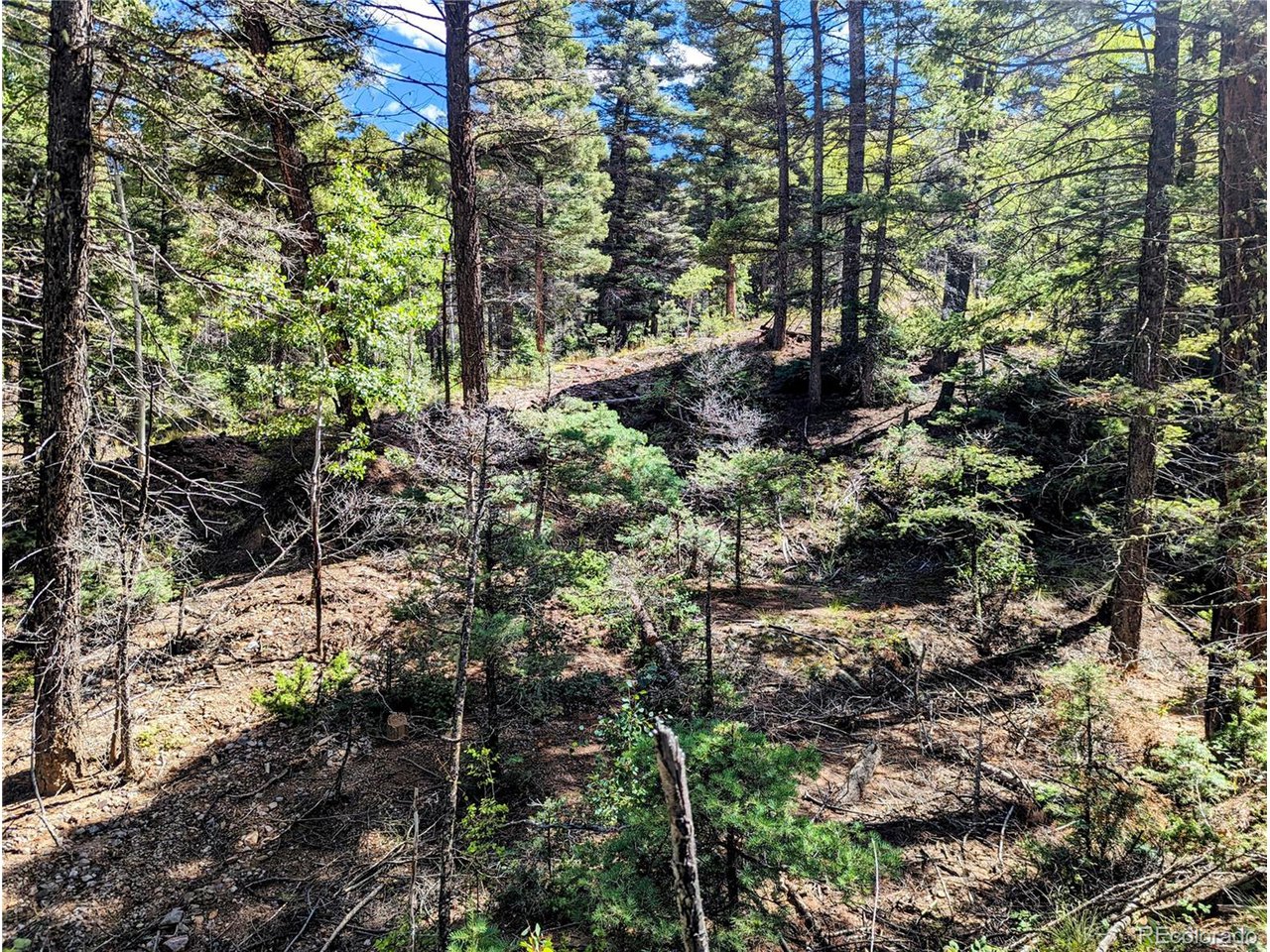 6162 Batton Road San Luis, CO 81152 - Photo 7 of 23