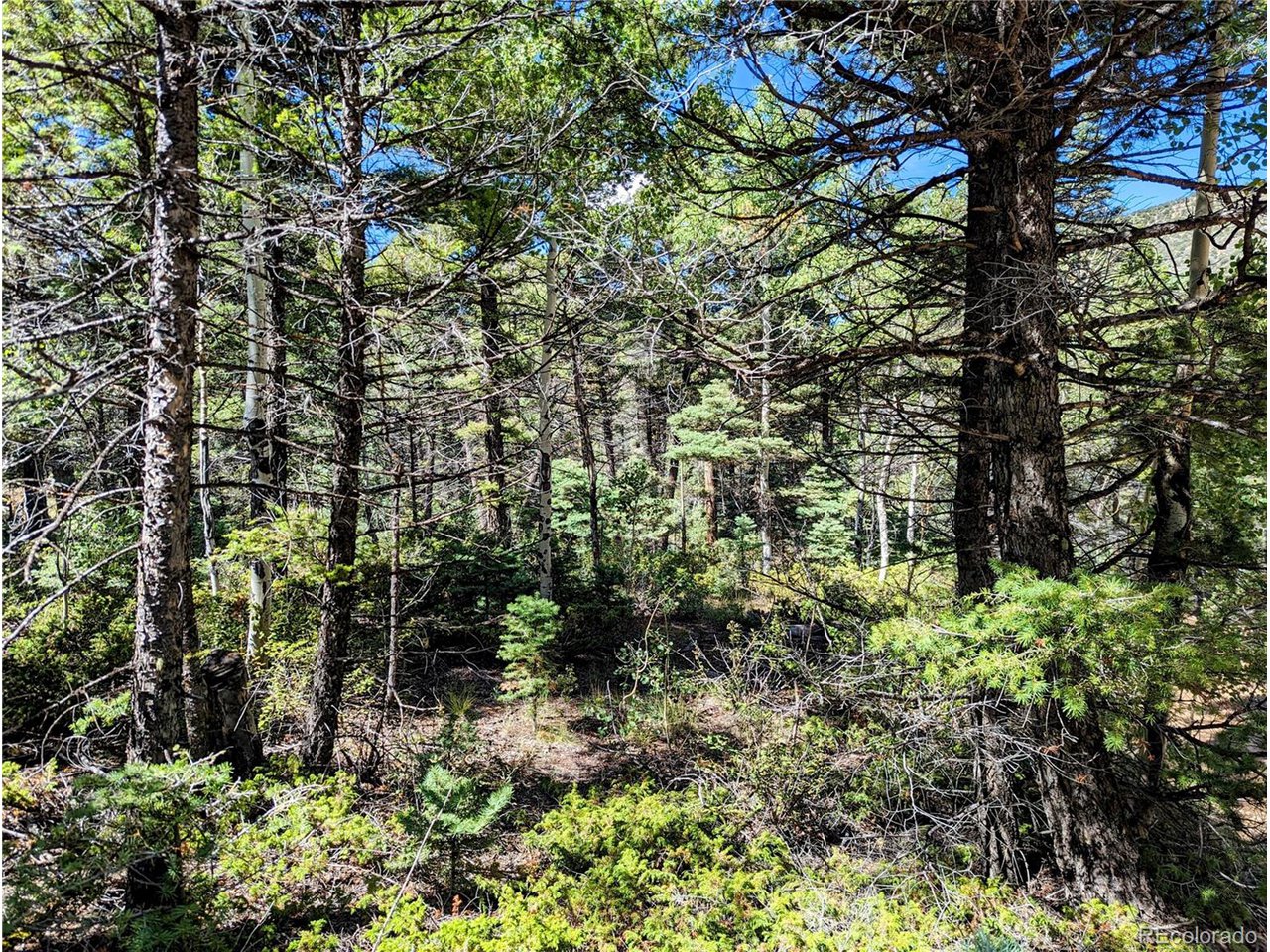 6162 Batton Road San Luis, CO 81152 - Photo 8 of 23