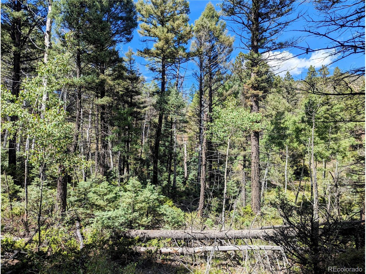 6162 Batton Road San Luis, CO 81152 - Photo 9 of 23