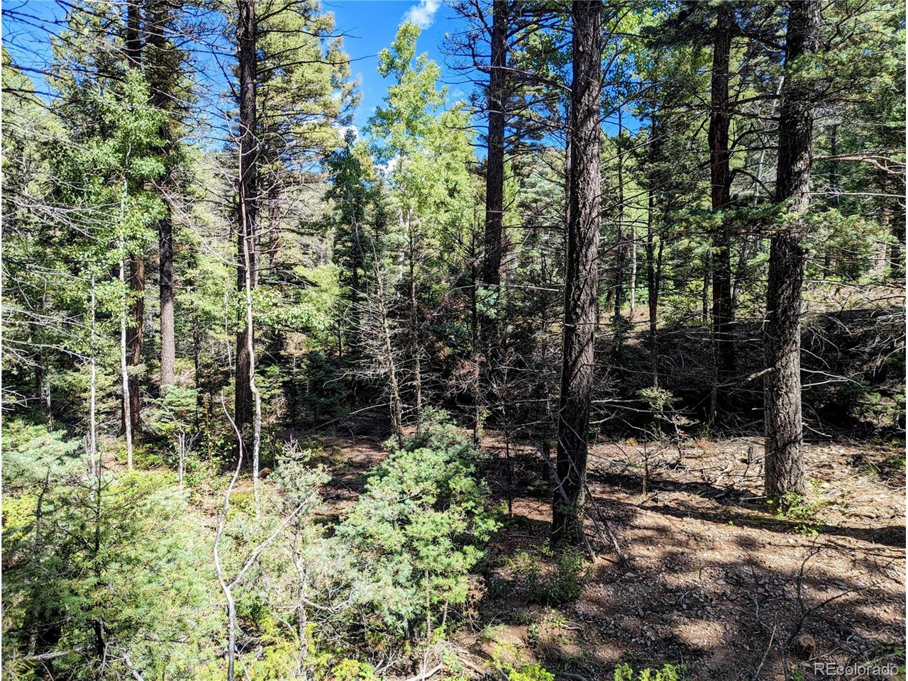 6162 Batton Road San Luis, CO 81152 - Photo 10 of 23