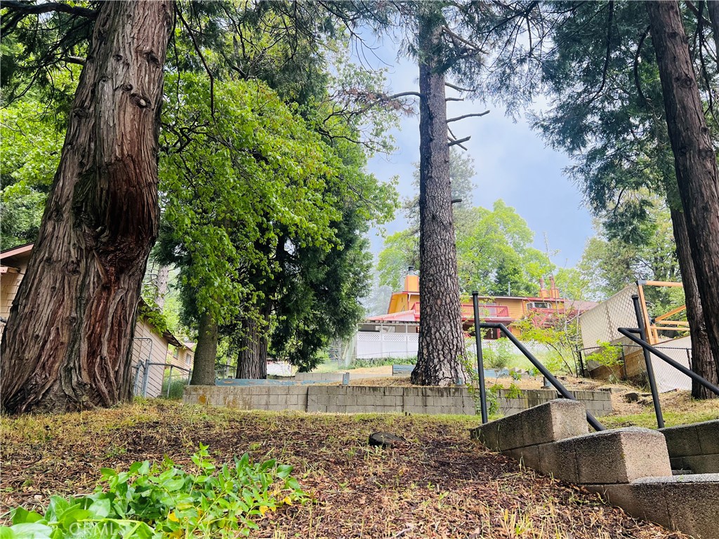 23798 Springwater Road Crestline, CA 92325 - Photo 1 of 1 a view of a yard with a tree