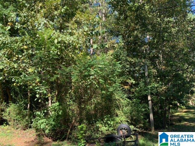 65 Whaley Drive Montevallo, AL 35115 - Photo 4 of 4