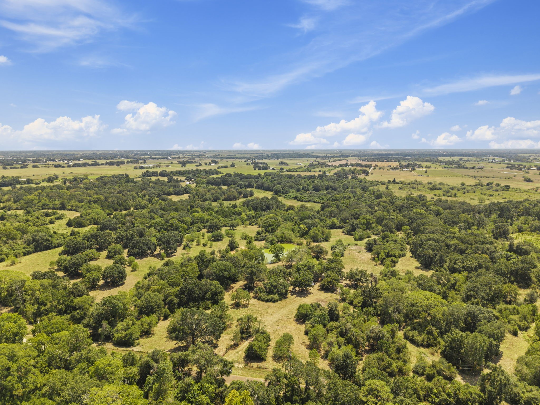 37585 Porter Road Hempstead, TX 77445 - Photo 7 of 18 Gallery Image 7
