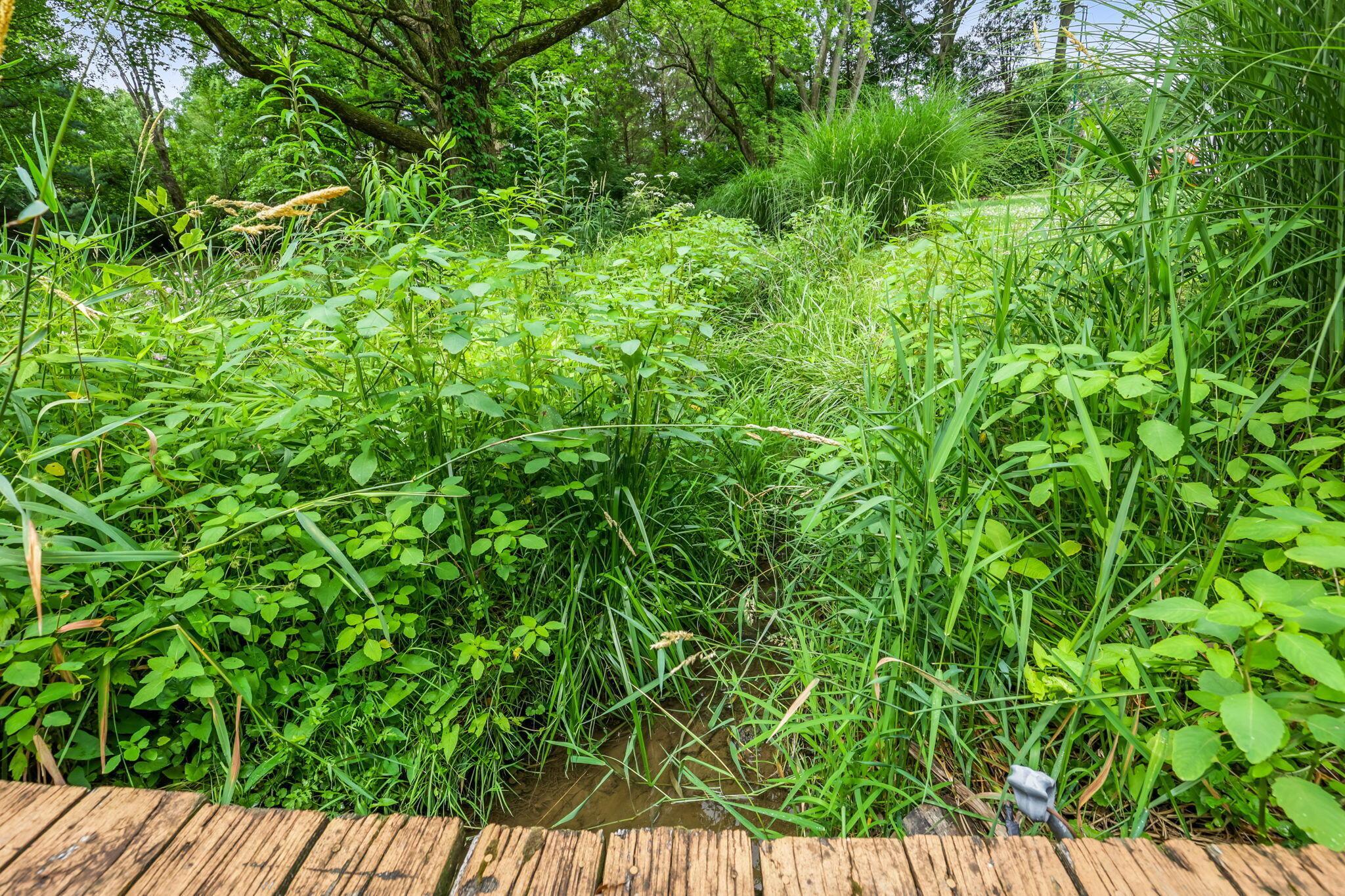 14823 Cleveland Road Southwest Pataskala, OH 43062 - Photo 50 of 57 Wood-plank border overlooking a lush, verdant natural landscape with diverse foliage and a small water feature
