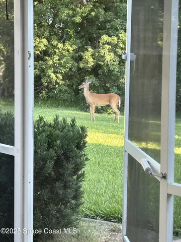 $800,000 | 5670 Bob White Trail, Mims, FL 32754