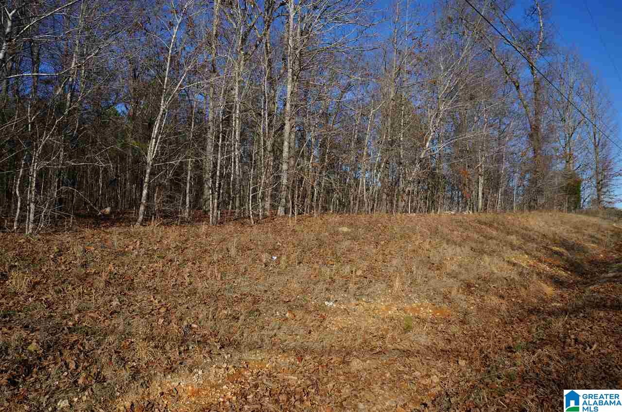 0 Fulton Circle, Unit 4 ACRES Sylacauga, AL 35150 - Photo 4 of 7