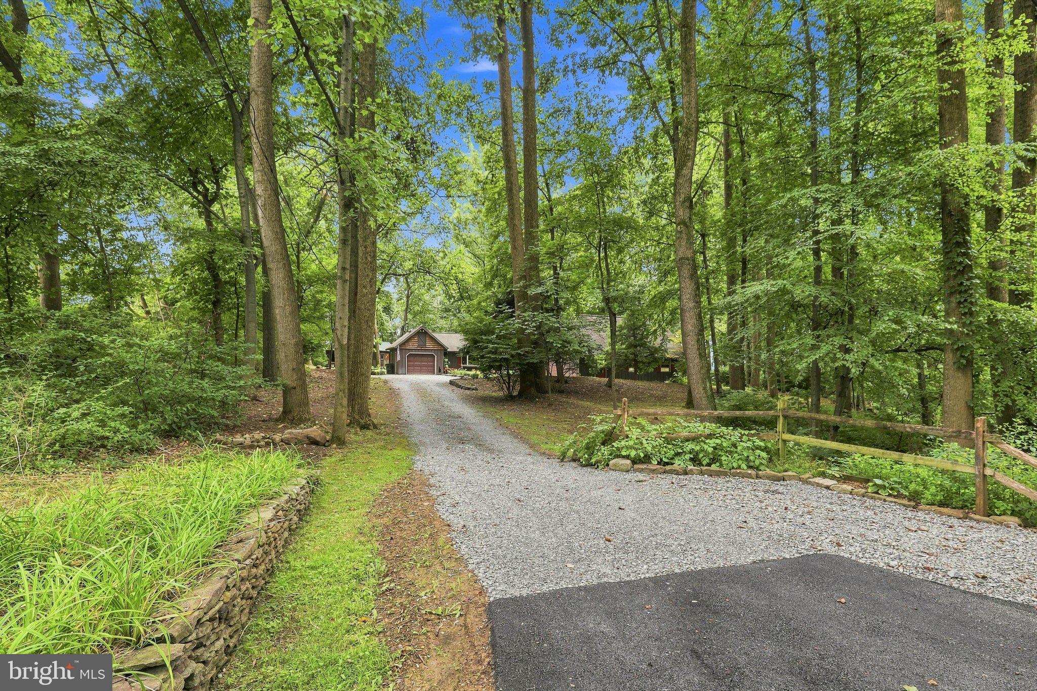 307 Dead End Road Lititz, PA 17543 - Photo 4 of 50 Serene driveway through lush greenery.
