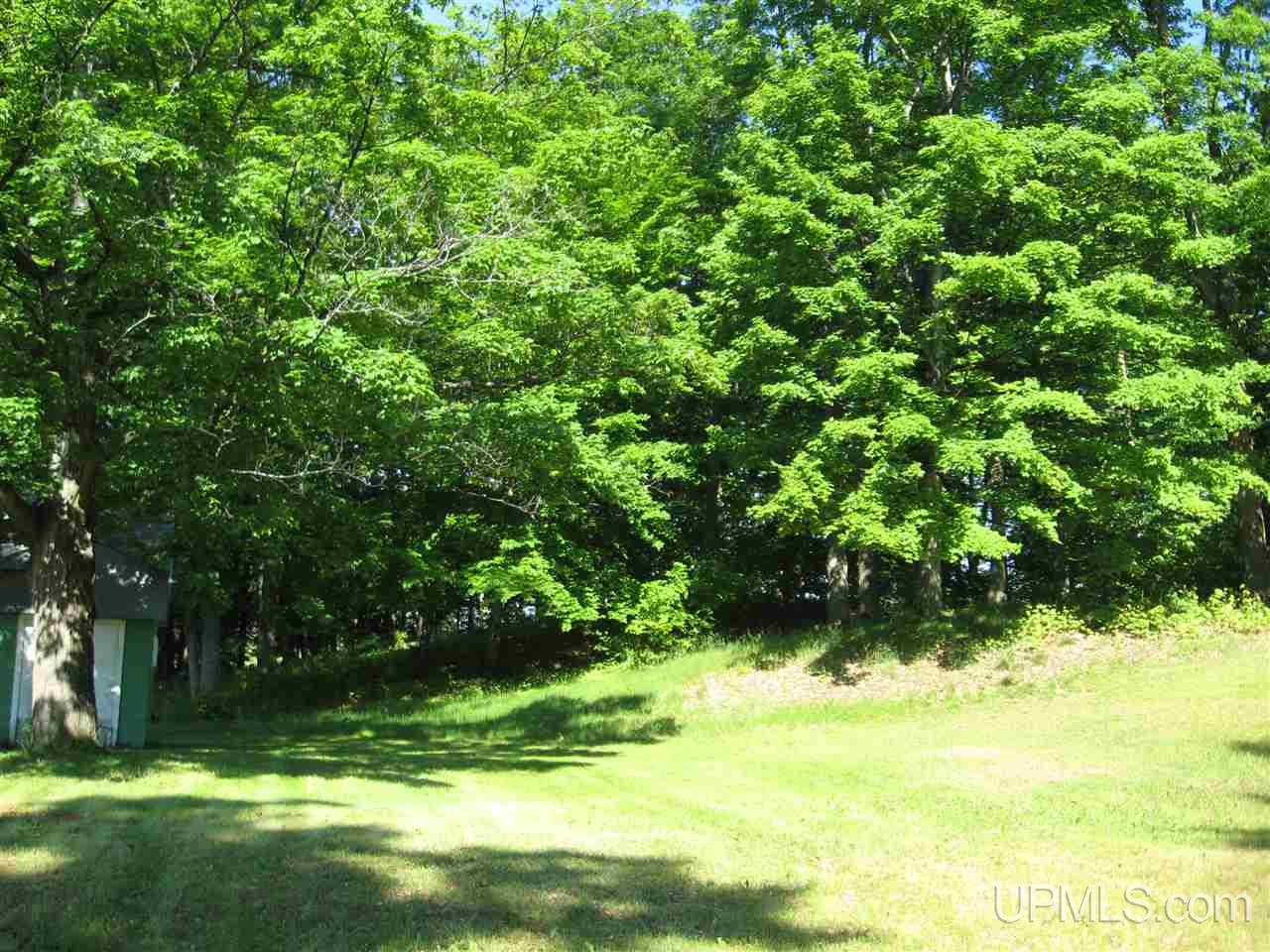 3885 Co Road Cornell, MI 49818 - Photo 24 of 29