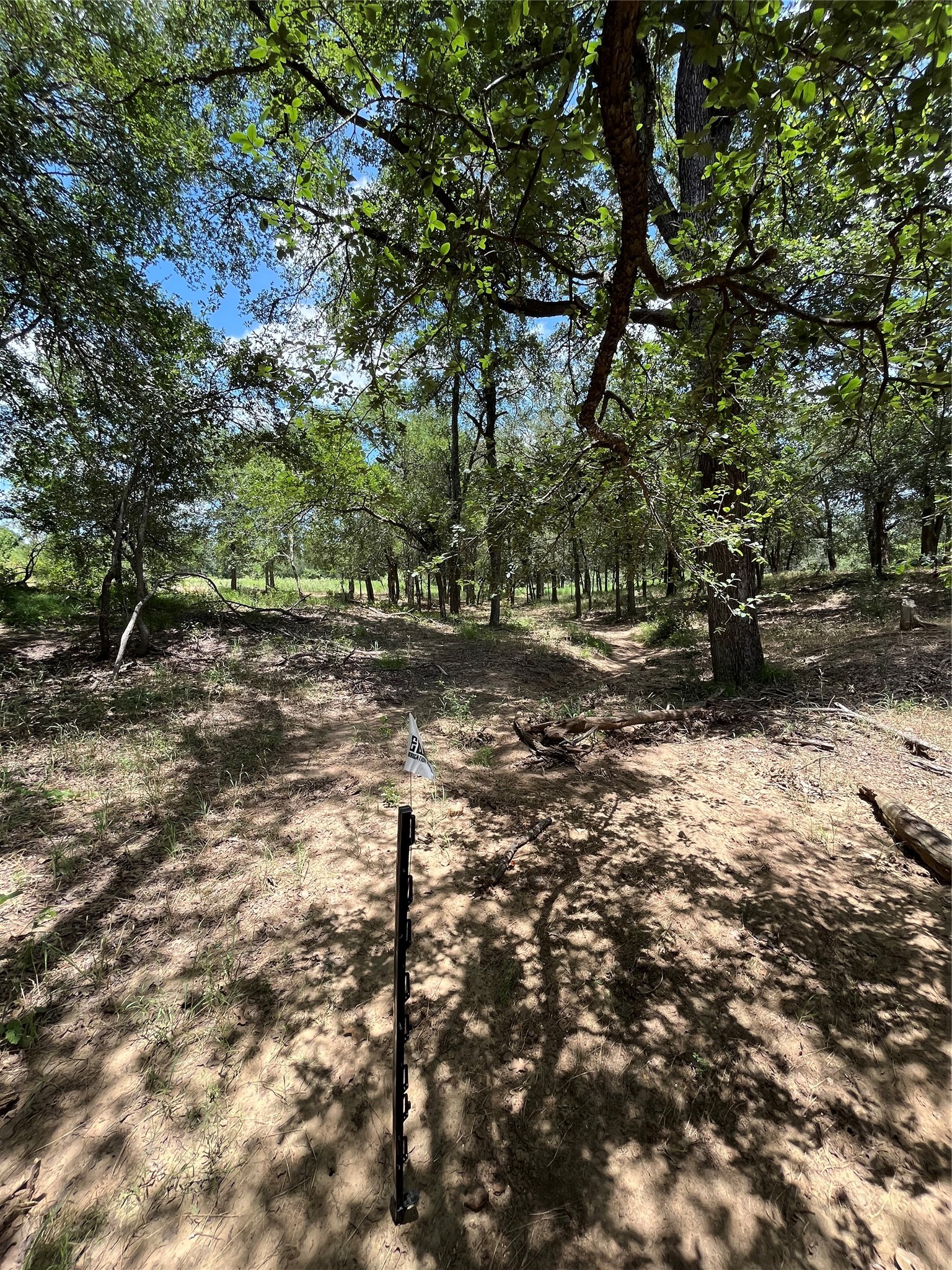 1026 Red Town Road Elgin, TX 78621 - Photo 15 of 20 a view of a forest with trees