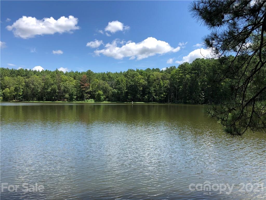 3729 Pearson Road, Unit 4 Blair, SC 29015 - Photo 1 of 1 Gallery Image 1