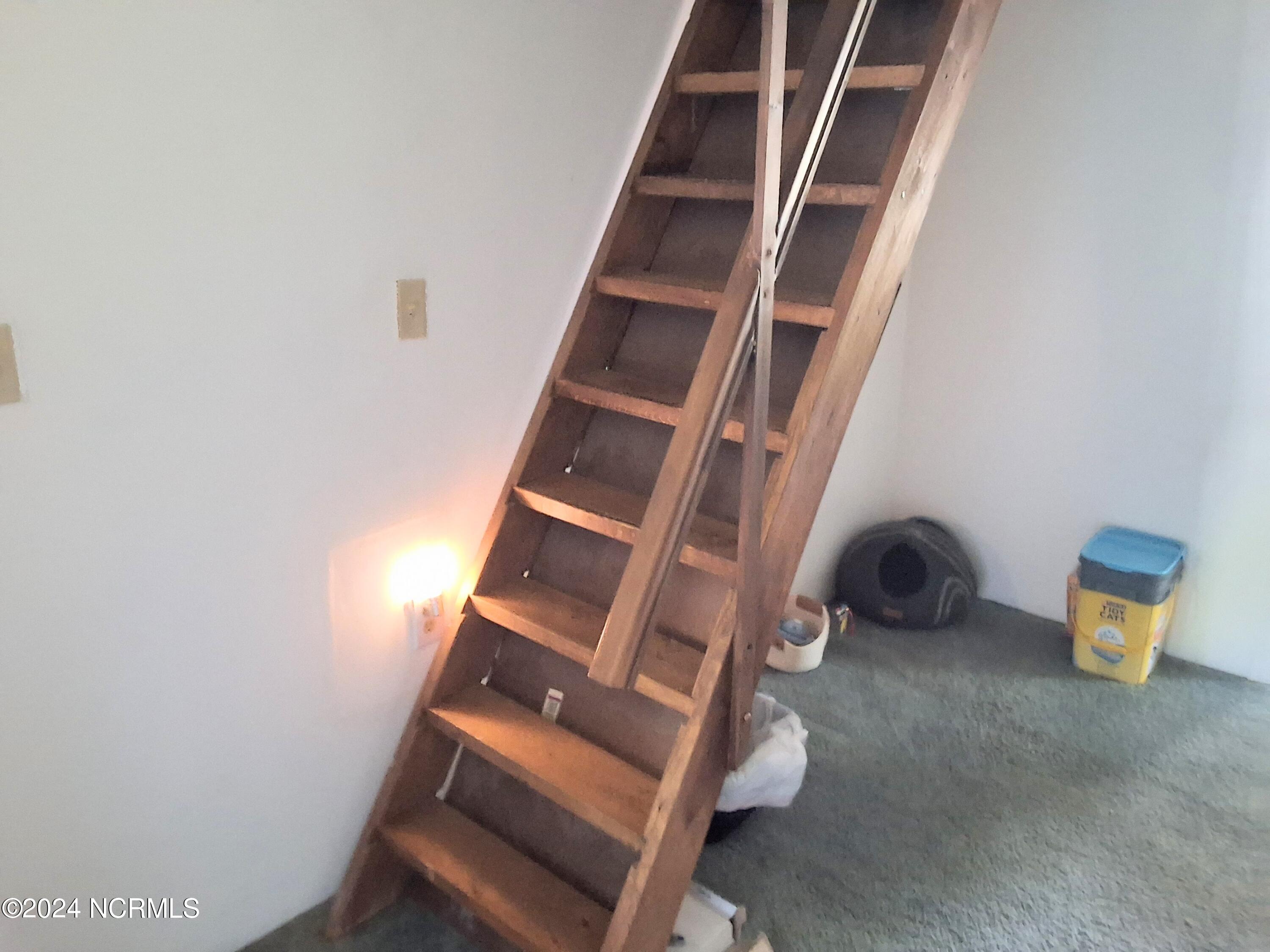 448 Evergreen Baptist Road Evergreen, NC 28438 - Photo 23 of 77 20240814_161816