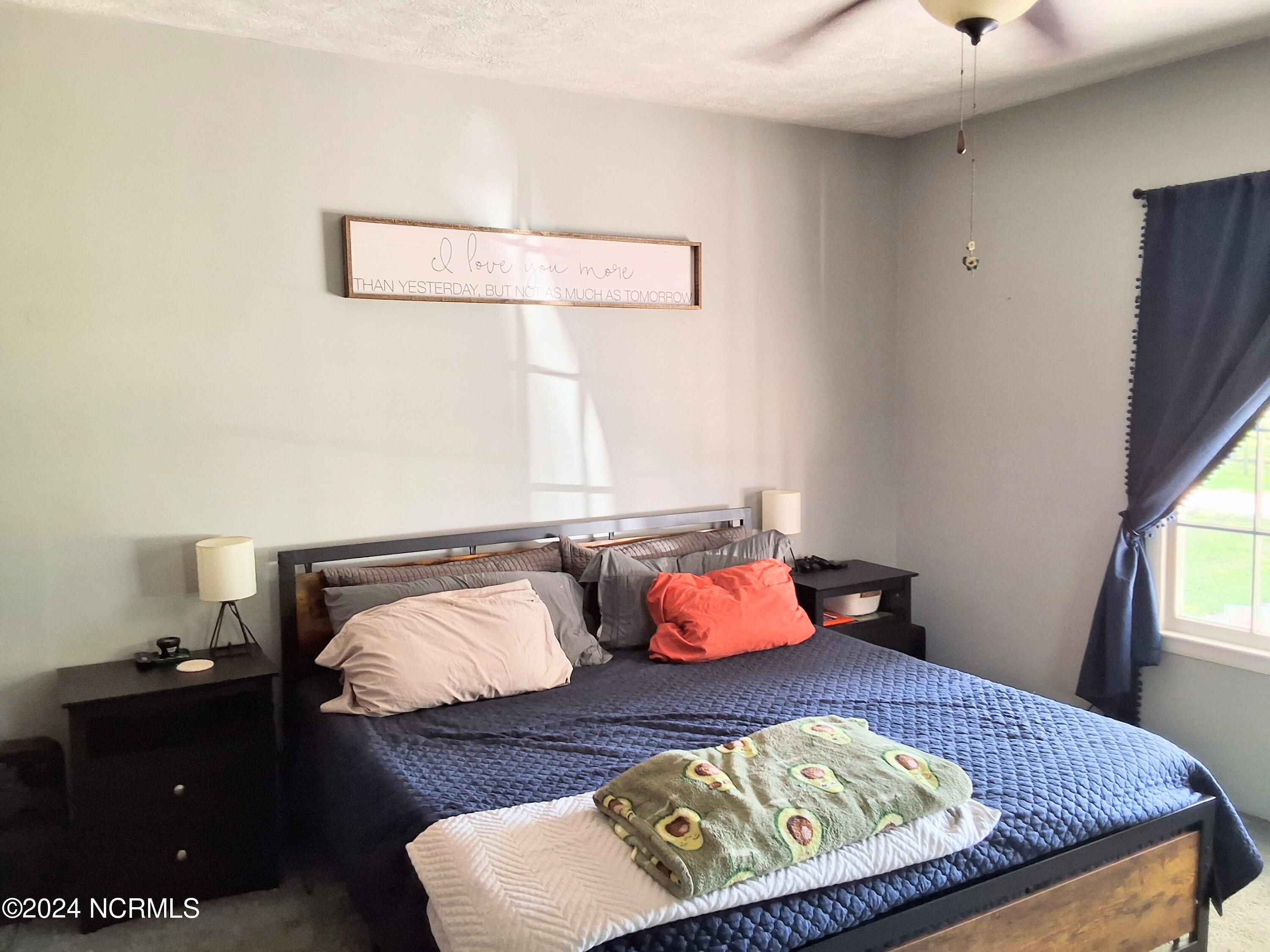 448 Evergreen Baptist Road Evergreen, NC 28438 - Photo 24 of 77 20240814_161528