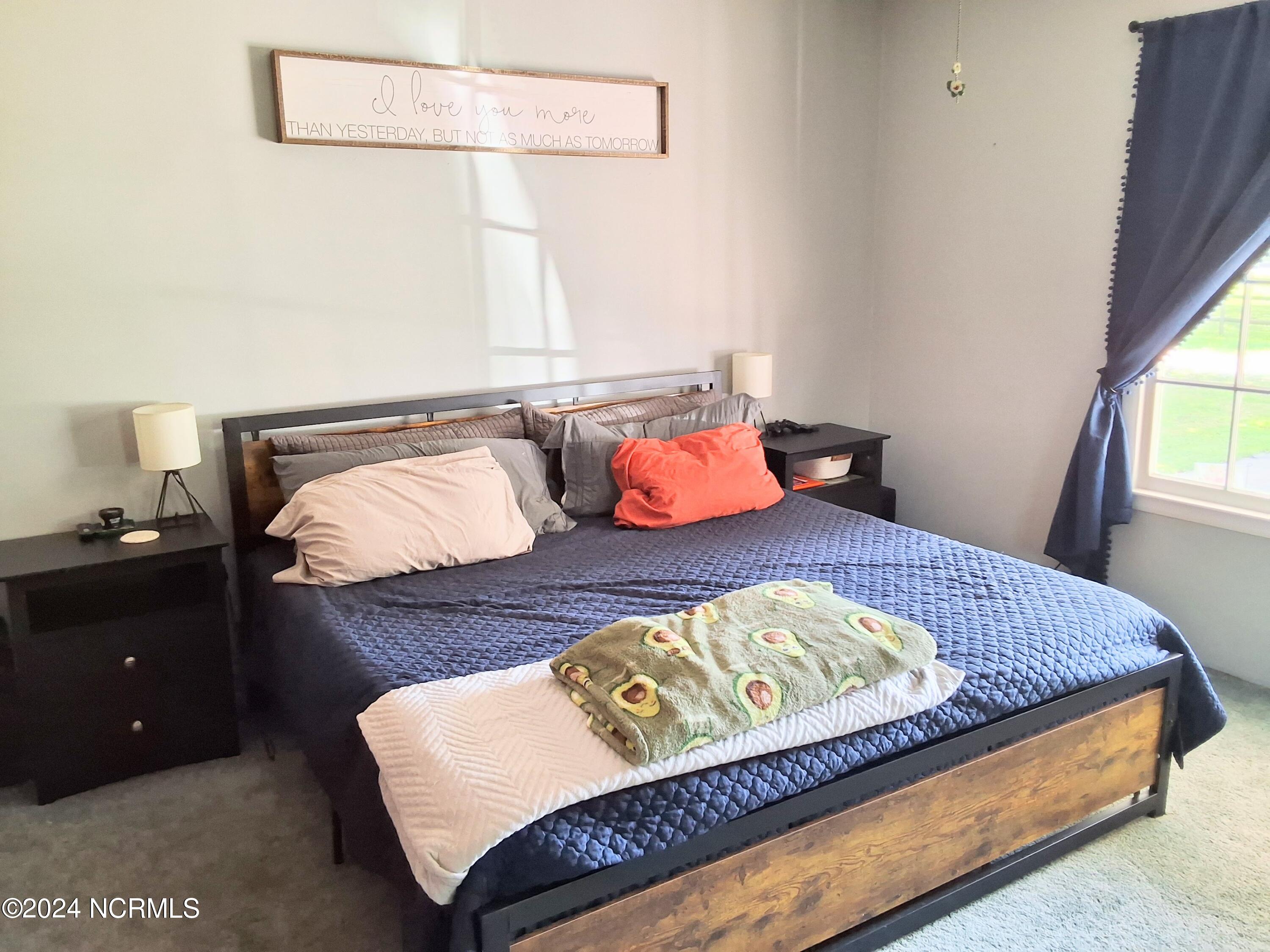 448 Evergreen Baptist Road Evergreen, NC 28438 - Photo 25 of 77 20240814_161531