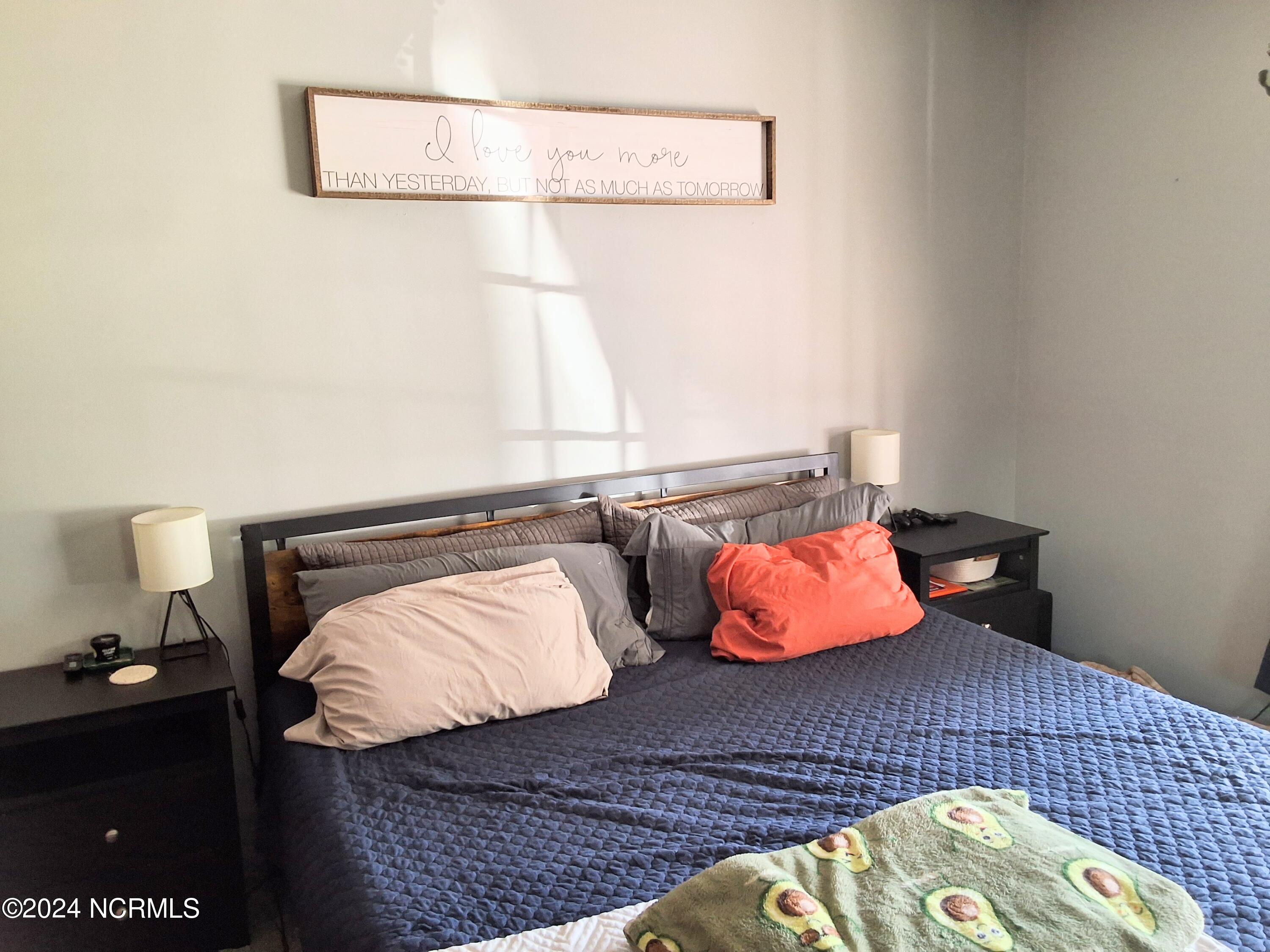 448 Evergreen Baptist Road Evergreen, NC 28438 - Photo 26 of 77 20240814_161736