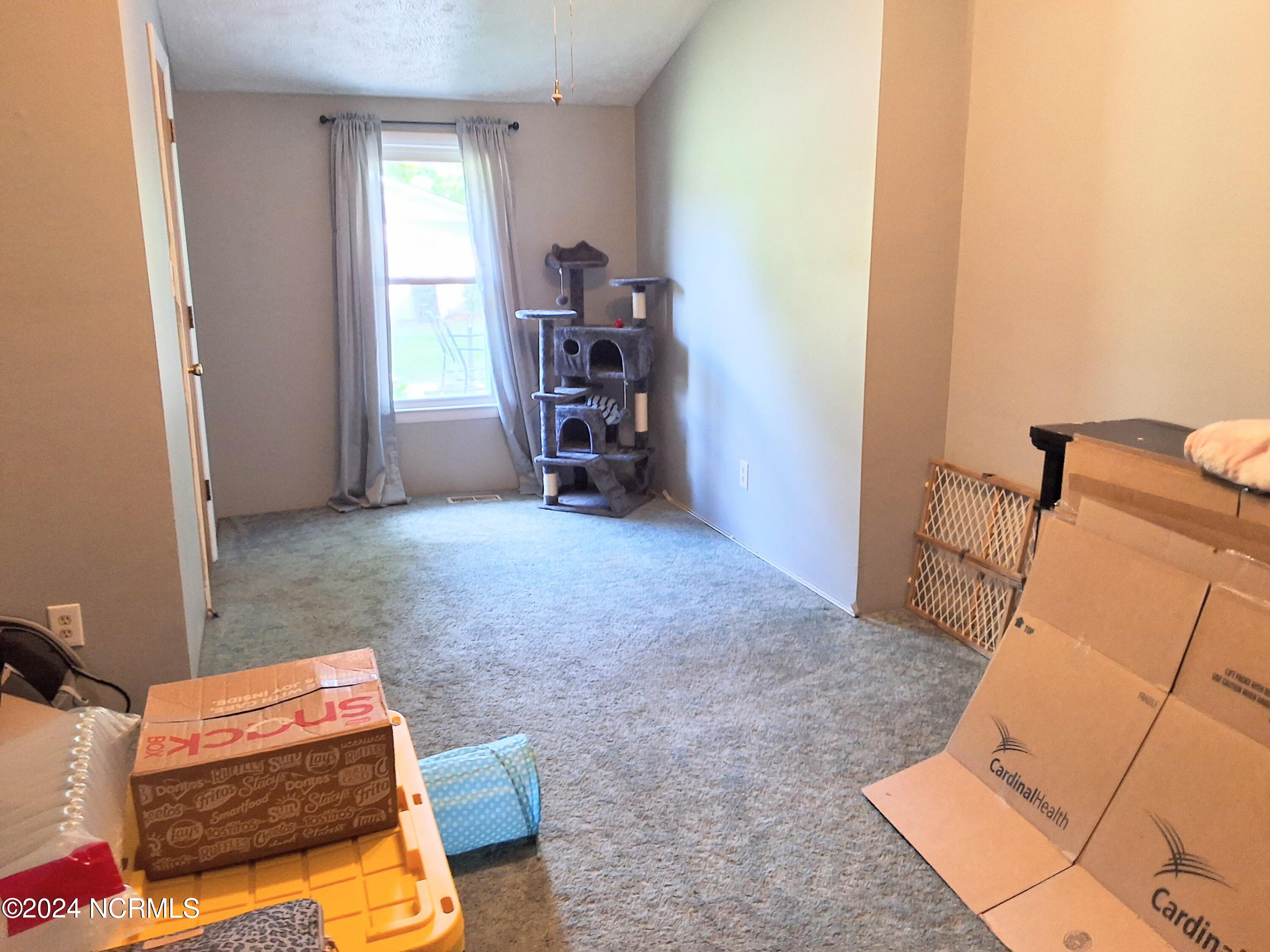 448 Evergreen Baptist Road Evergreen, NC 28438 - Photo 35 of 77 20240814_162122