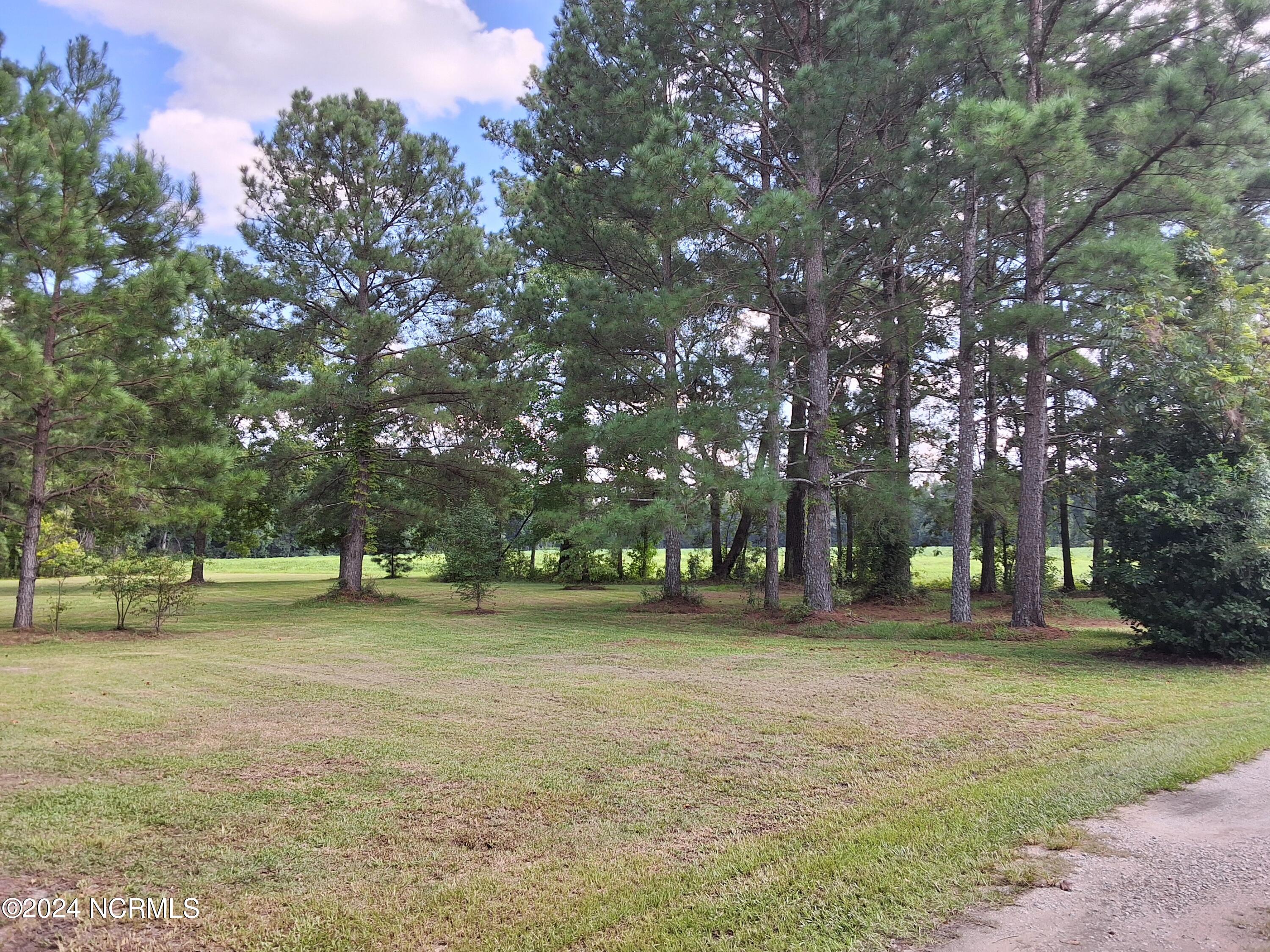 448 Evergreen Baptist Road Evergreen, NC 28438 - Photo 50 of 77 20240814_160030