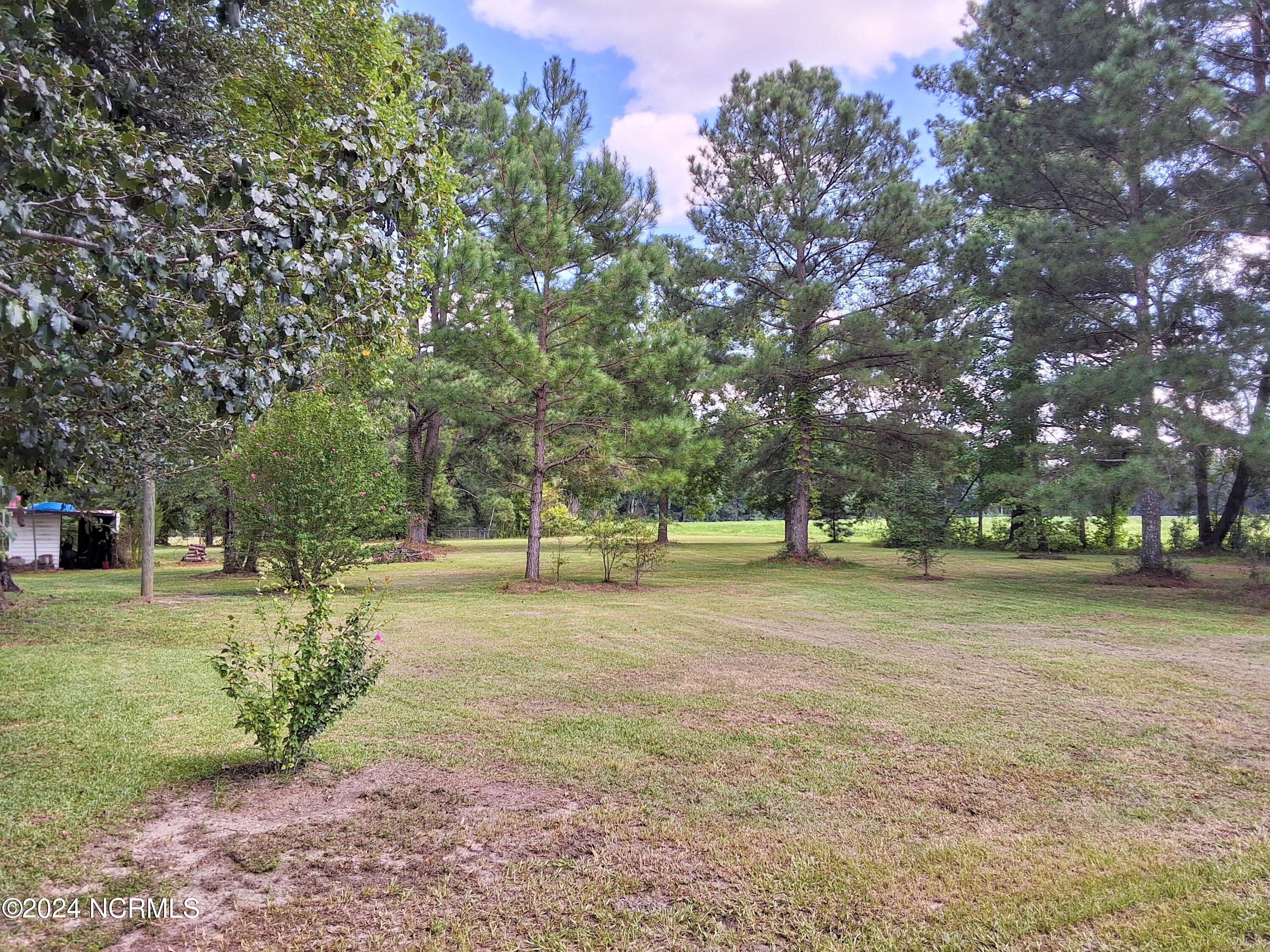 448 Evergreen Baptist Road Evergreen, NC 28438 - Photo 51 of 77 20240814_160037