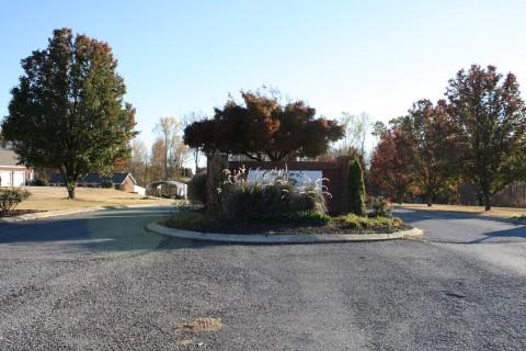 a view of back yard of the house