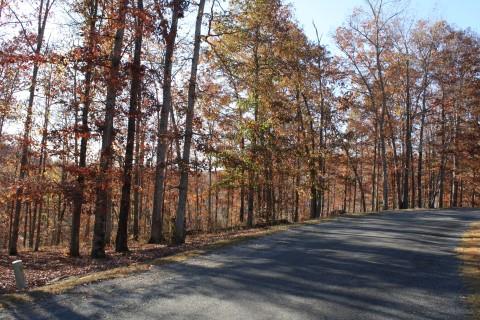 0 Fairway Circle Loretto, TN 38469 - Photo 2 of 5 a view of outdoor space with deck