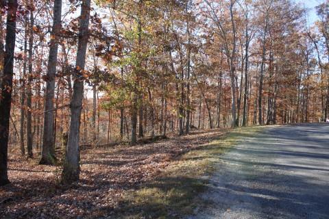 0 Fairway Circle Loretto, TN 38469 - Photo 4 of 5 a view of outdoor space with trees
