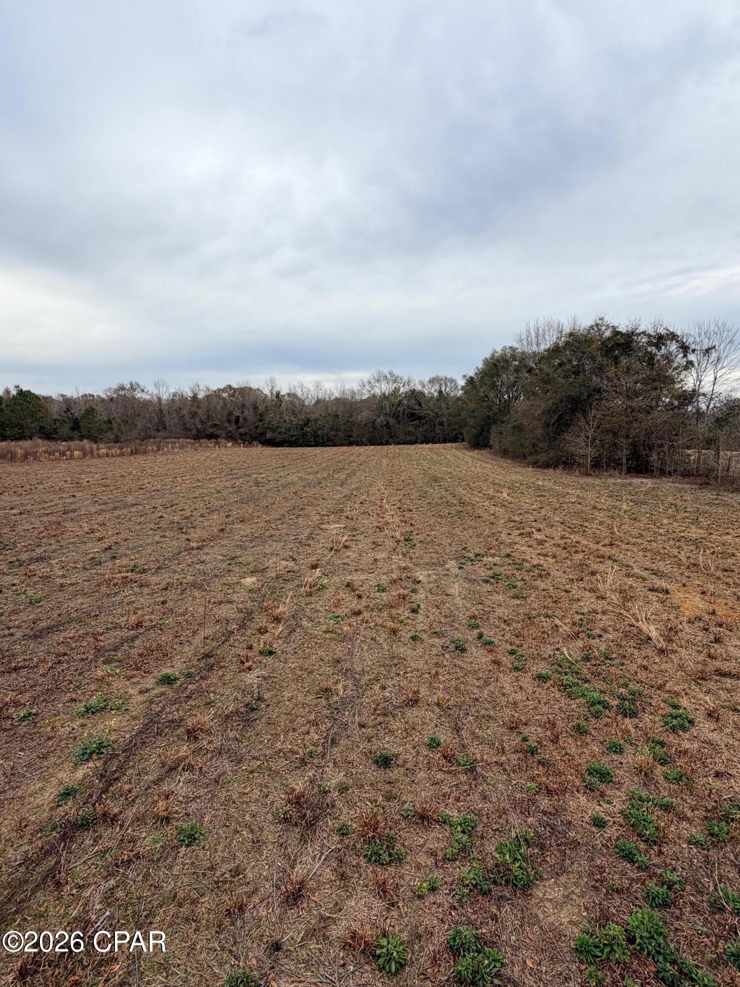 Tbd Jj Whitaker Road Bonifay, FL 32425 - Photo 12 of 15