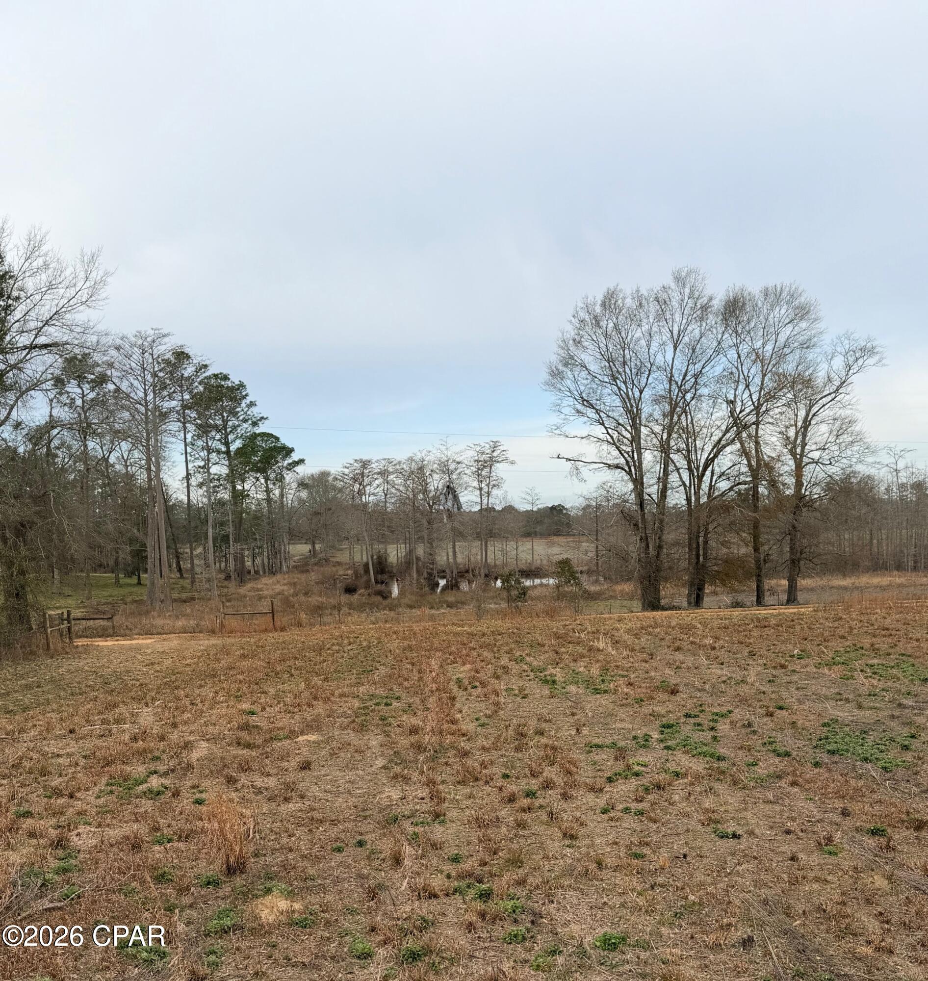 Tbd Jj Whitaker Road Bonifay, FL 32425 - Photo 13 of 15