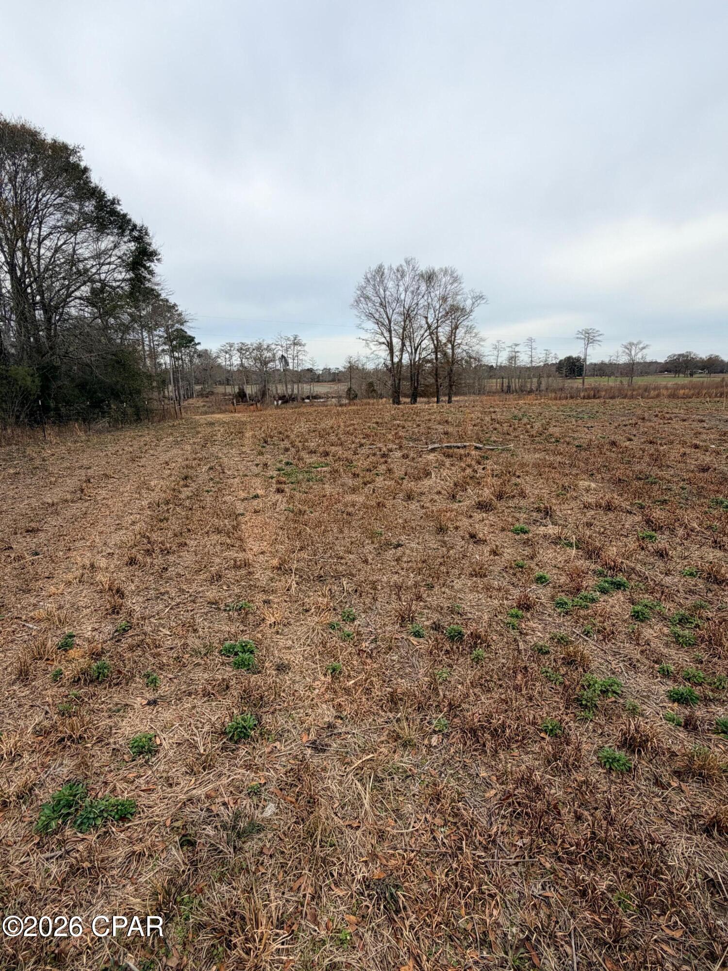 Tbd Jj Whitaker Road Bonifay, FL 32425 - Photo 3 of 15