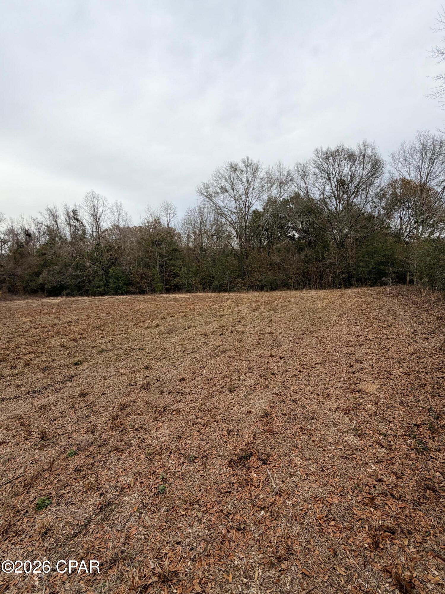 Tbd Jj Whitaker Road Bonifay, FL 32425 - Photo 4 of 15