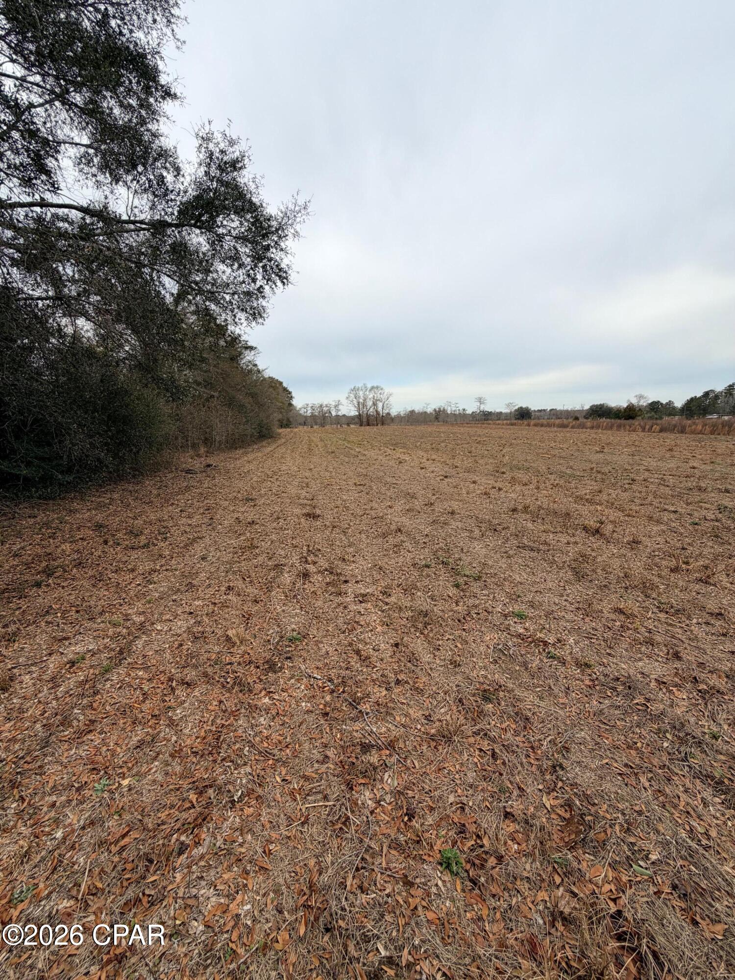 Tbd Jj Whitaker Road Bonifay, FL 32425 - Photo 5 of 15