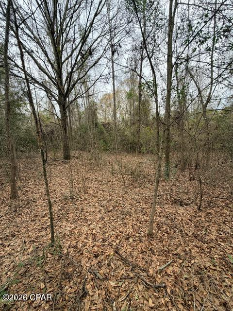 Tbd Jj Whitaker Road Bonifay, FL 32425 - Photo 8 of 15