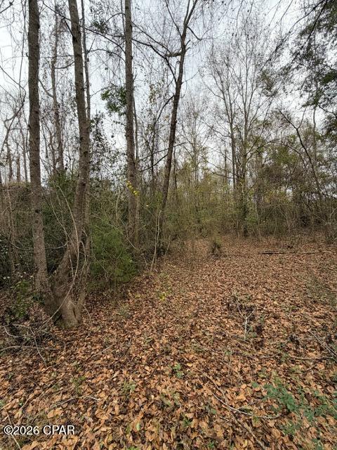 Tbd Jj Whitaker Road Bonifay, FL 32425 - Photo 10 of 15