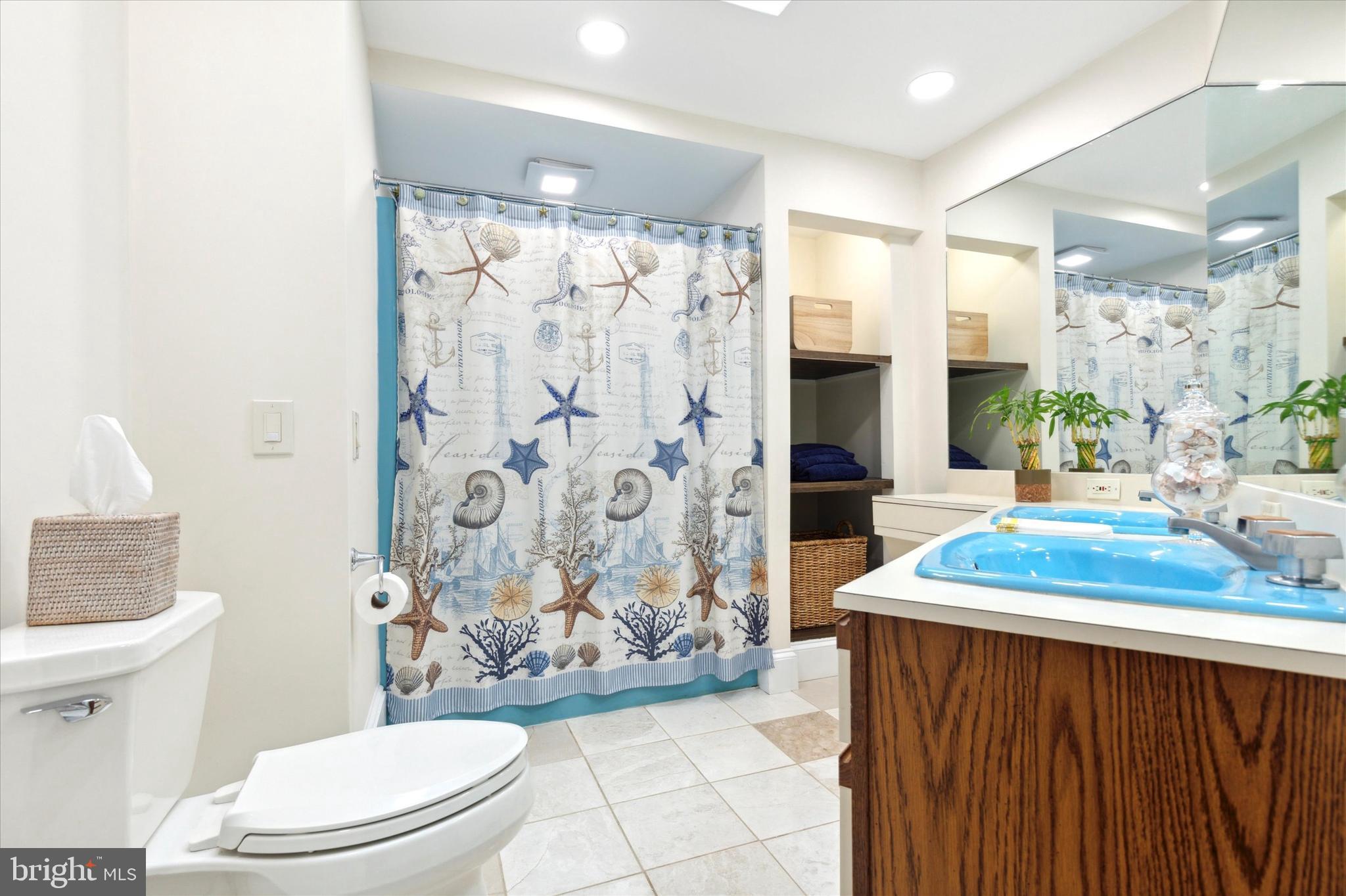 455 Sharon Drive Wayne, PA 19087 - Photo 31 of 36 full bath w skylight