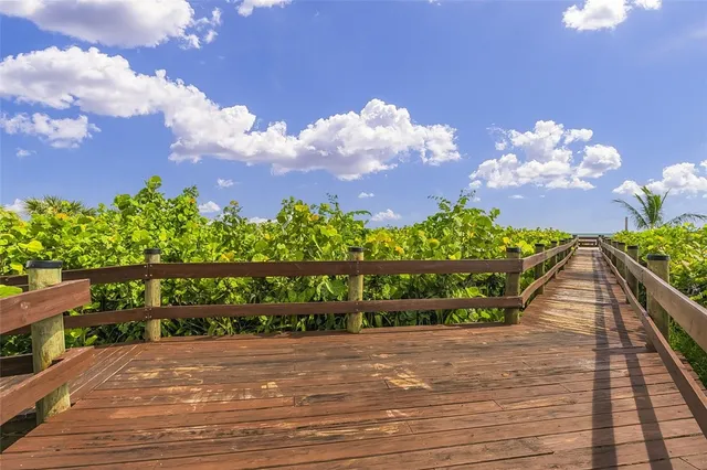 a view of a flower garden