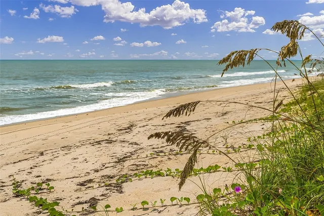 a view of beach and ocean
